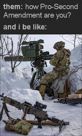 how pro second amendment are you06