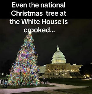 criminal activity153