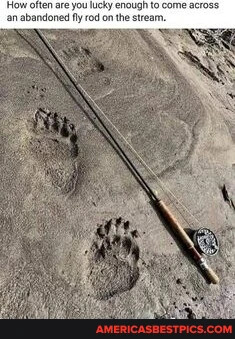 dc6b7895ffce91aafb3dd340758f2d2712771c841227bca6e4a47d22b902f6e2_1