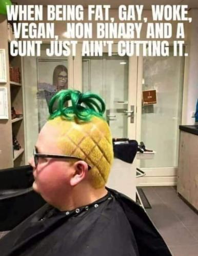 FB_IMG_1703282242136