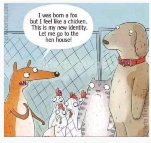 Screenshot_20231209_052508_Outlook