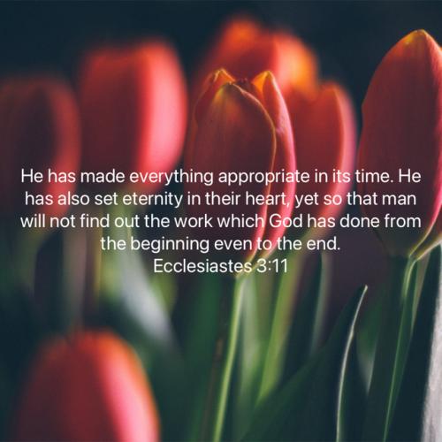 FAITH - Ecclesiastes 3.11 NASB