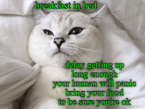 f8d2e104914af55ca919e03e0417ec8d