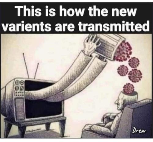 FB_IMG_1703527189172