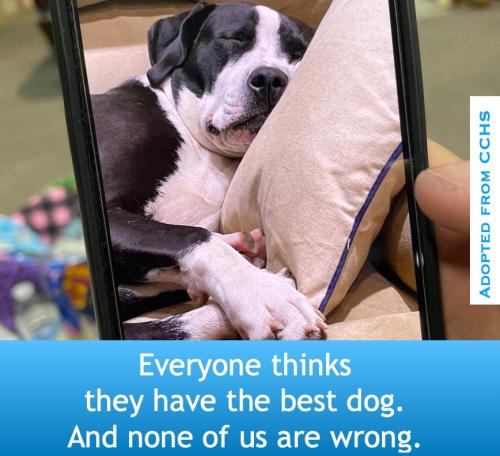 336076566_241581481631989_8623878743785766539_n