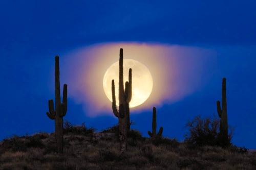 3AD00A36-31AE-4B00-95A9-61F8ADB56DC8