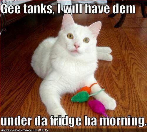 808dd5f64c7129f7f0f1eb4be6c05d74