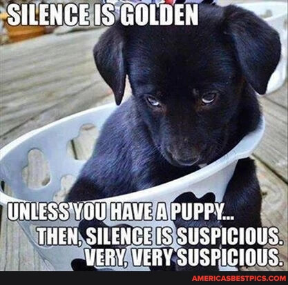 sngine_a4b2d6c23f30ab79361b9479760ab2e5