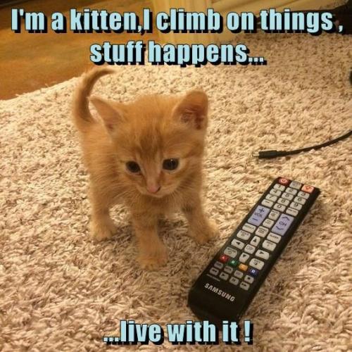 c8c31c0c8e8cdebb28b0c3e851c9af45