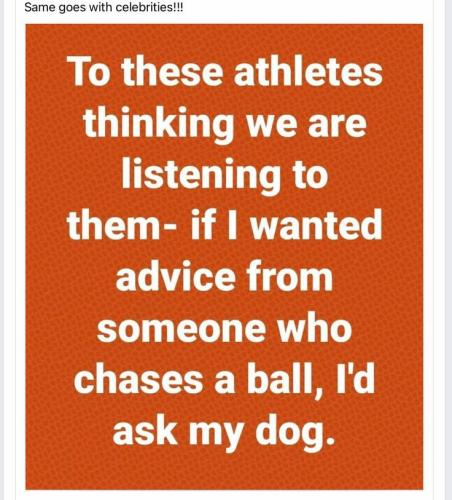 c566d8b99823821e5839a292ad7f1dc5