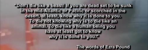 Screenshot_20231205-124909_Telegram