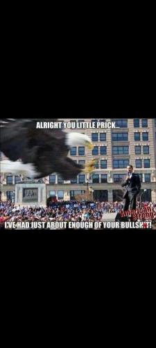 Screenshot_20231229-151841_Gallery