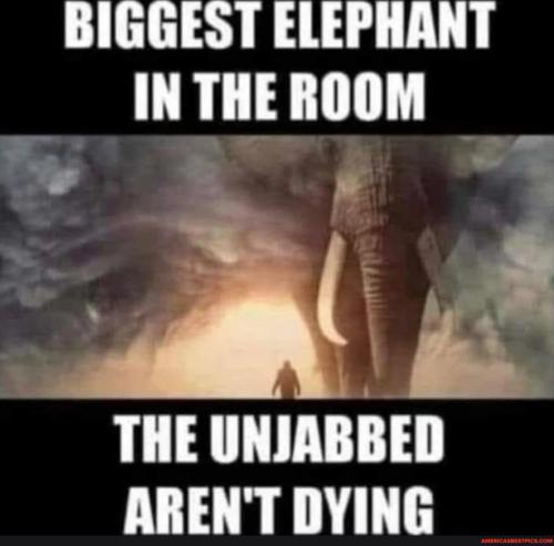 8ba72f2a6b679f132e13638832133d9d86c2c7d14ed681aa53359a4394108ead_1