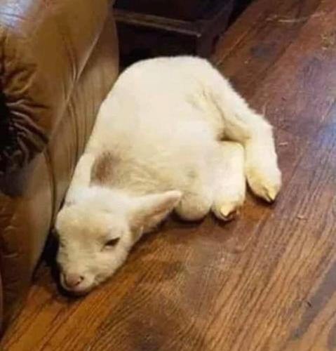 Screenshot_20231215_102949_Facebook