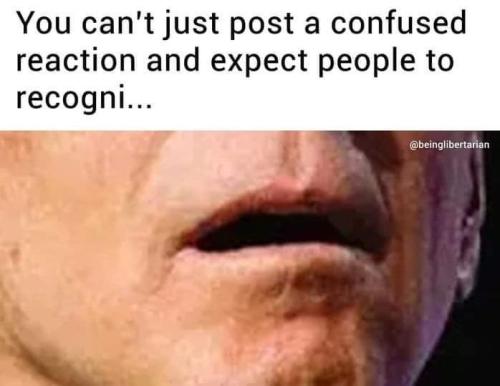 FB_IMG_1702148565458