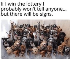 c1535c0b67f6670f38a61914fa33a572