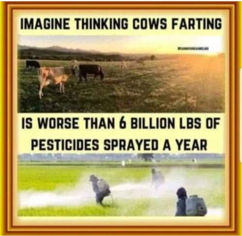 Screenshot_20231215_032700_Facebook