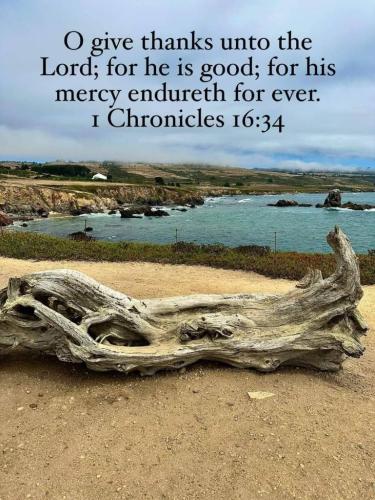 ede62895-dd3a-451d-bcfd-02601d5882dd