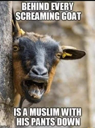 screaming goat