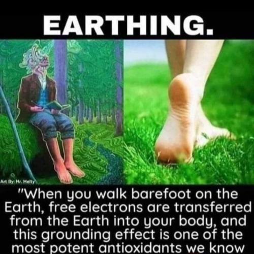 Earthing Grounding for Health