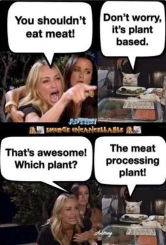 FB_IMG_1701512494928