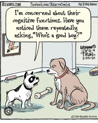 408240116_657949196504199_5007652811939890016_n