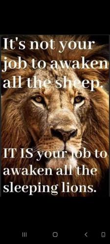 Screenshot_20231215-131340_Gallery