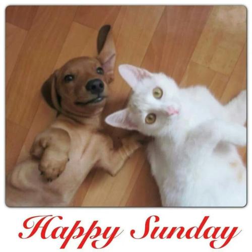 f0758f154f712242e66beb2a2a2820ac