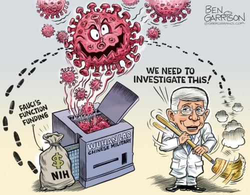 fauci_function_funding-1024x799