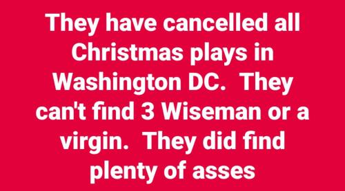 Christmas_asses_in_Washington