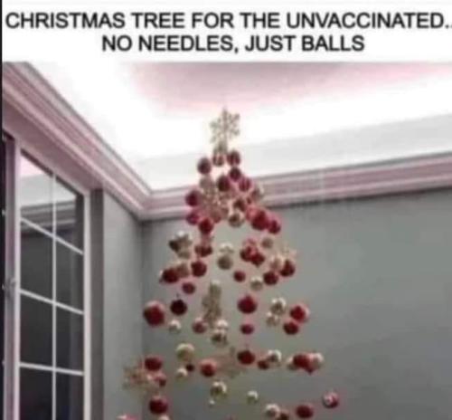 405810077_1385420128720462_19902311857918858_n