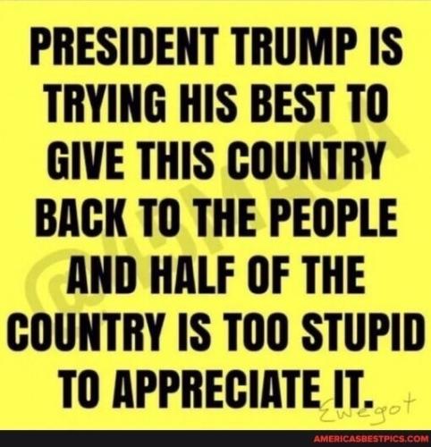 dba191b3-1a93-4a3b-b397-83bad6fdffaf