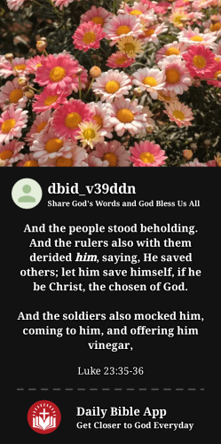 2023-12-201703064627906