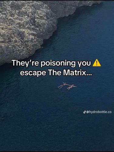 FB_IMG_1702434387794