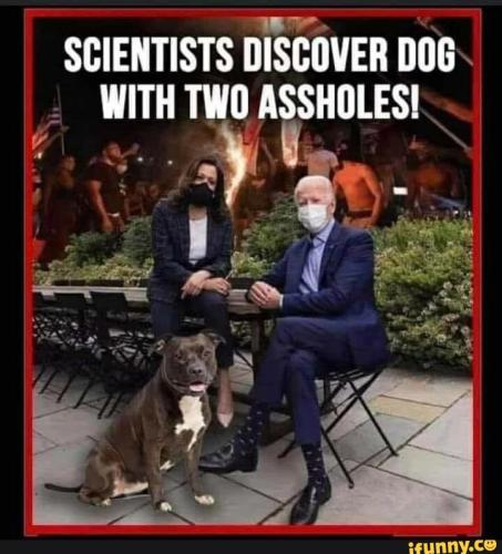 ad5f24fc3be349bb6ea06d37a32777bb40d46d37c598794f4377a28c8994d553_1