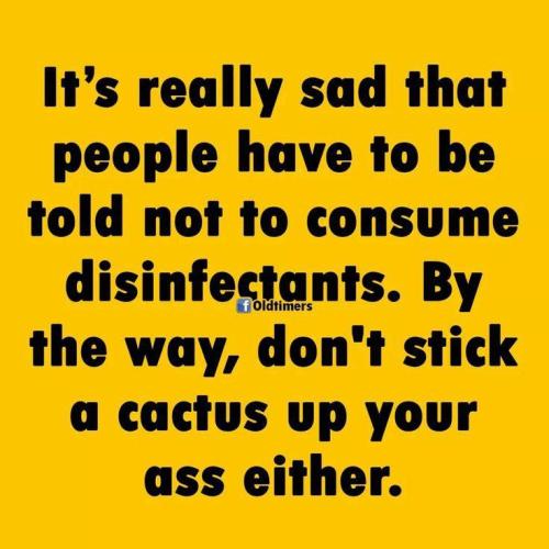 sngine_9157bc721f8e11407d175450cfb27c7a