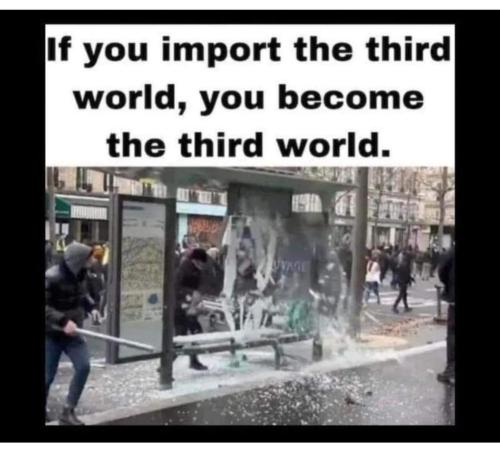 FB_IMG_1703995526025