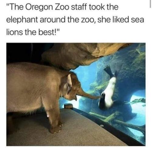 FB_IMG_1702652149047