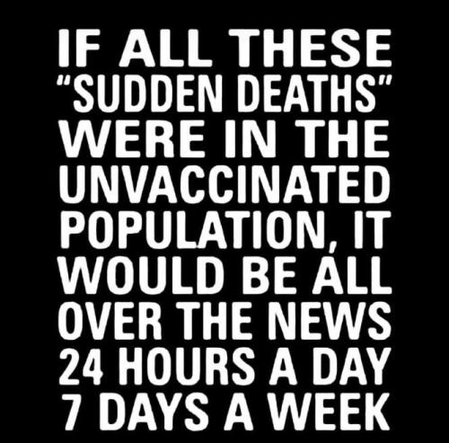 xephula_1d5a13188bb223bceef00876cecb16f3