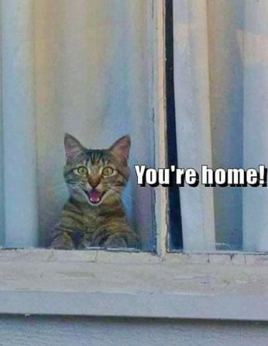 dc8822065dd77eecd702bc326f7aaa28