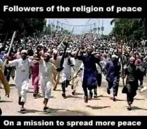 409511951_7539616636051435_4505887636004243777_n