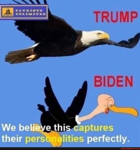 Resized_2f04e4dec9b0936cf492ba9140a3d3d3e8800f396ed8afd35b872576ac6fa1d9_1