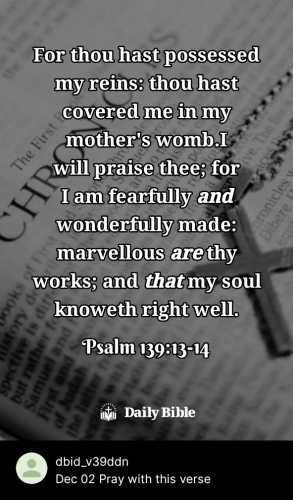 2023-12-021701569080719