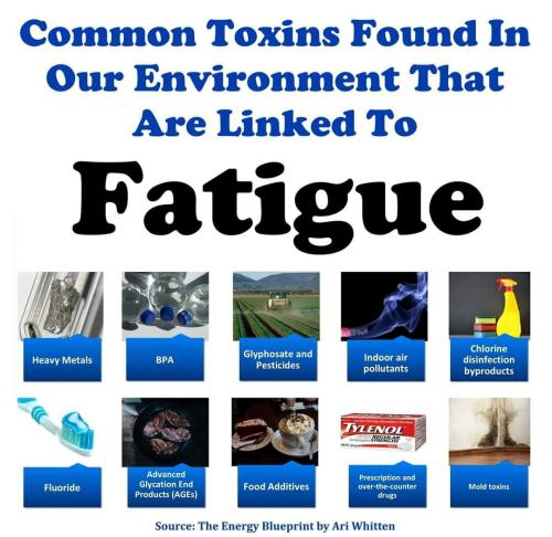 Environmental Toxins that cause Chronic Fatigue Syndrome