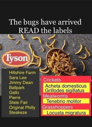 403891755_6918938788159612_5926842687706134677_n