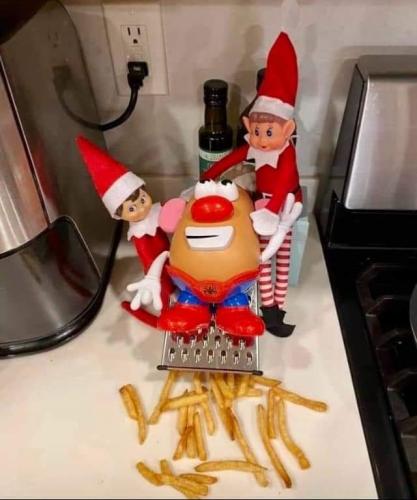 french fries