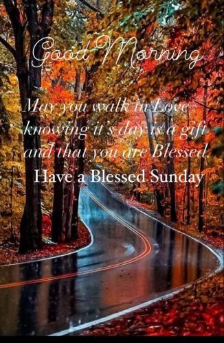 fall morning sunday 1