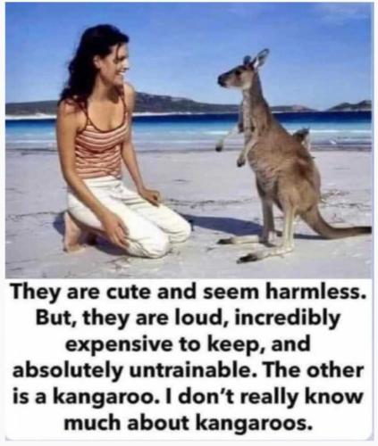 Screenshot_20231209_054811_Outlook