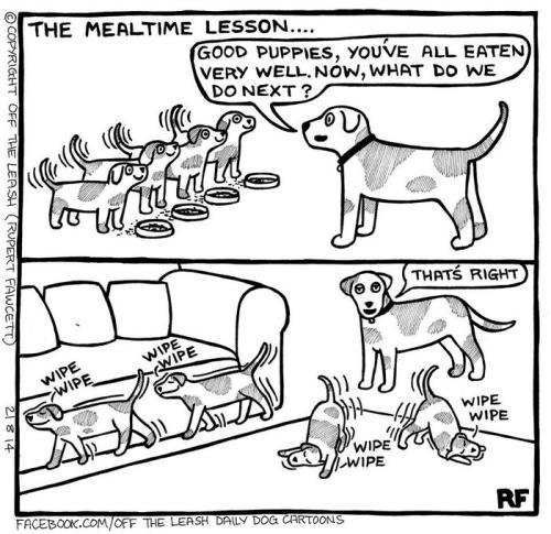 funny-dog-cartoons-off-the-leash-50-588878b5b3cb3__700