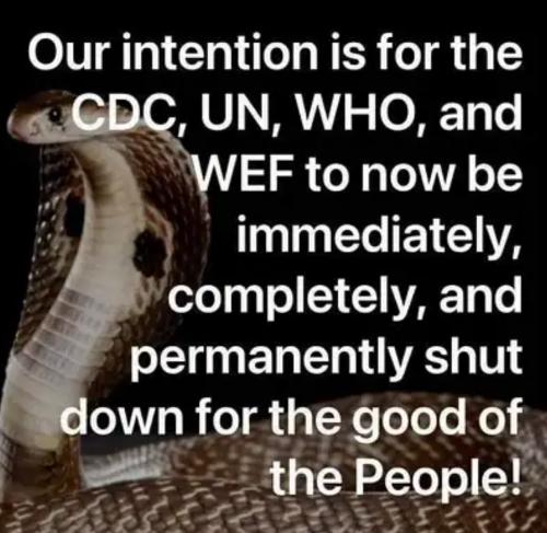 1b9c8006-5929-49a0-bcae-d2ec45faf68f